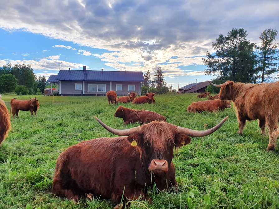 Hukanmäki Highland lähitila maisemakuva